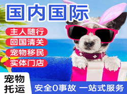 芒市机场快递国际宠物托运 【国